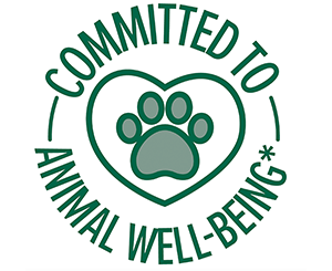 Η ΔΕΣΜΕΥΣΗ ΜΑΣ ΓΙΑ