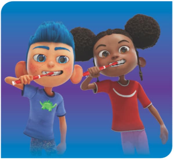 Οδηγίες χρήσης