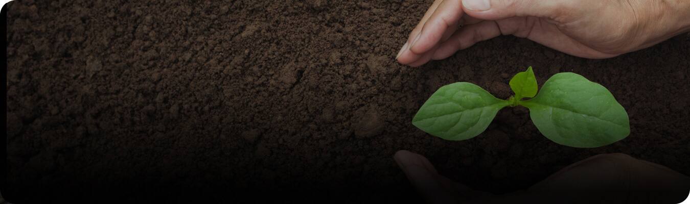 Βιώσιμα προϊόντα οδοντικής φροντίδας